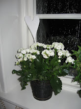 Tillbaka till Norrgården anno 2010..