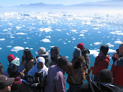 Greenland 2006