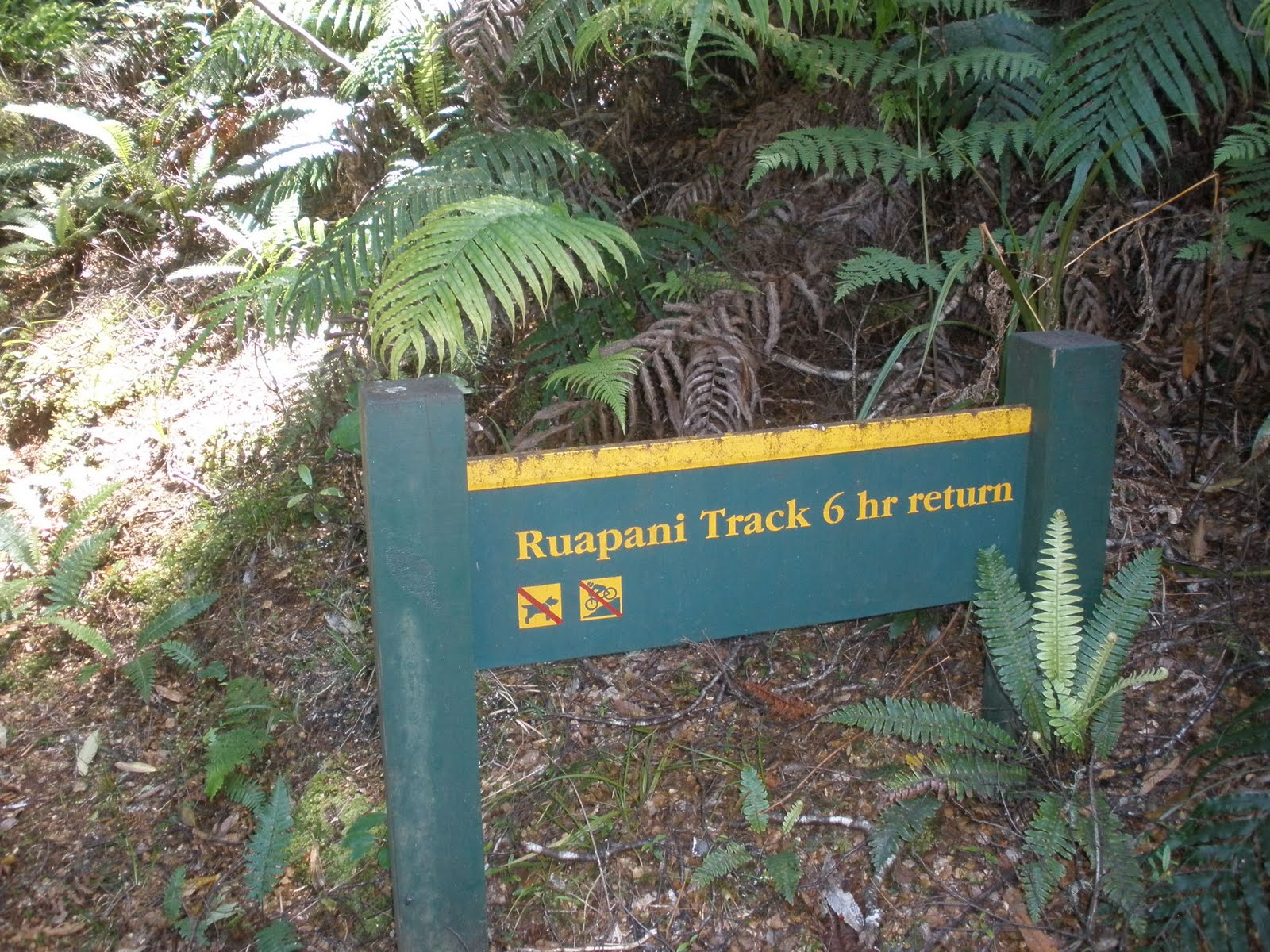 Hitting the Tracks: Ruapane Track, Waikaremoana-674m Altitude Gain
