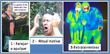 Foto do mês - Fevereiro