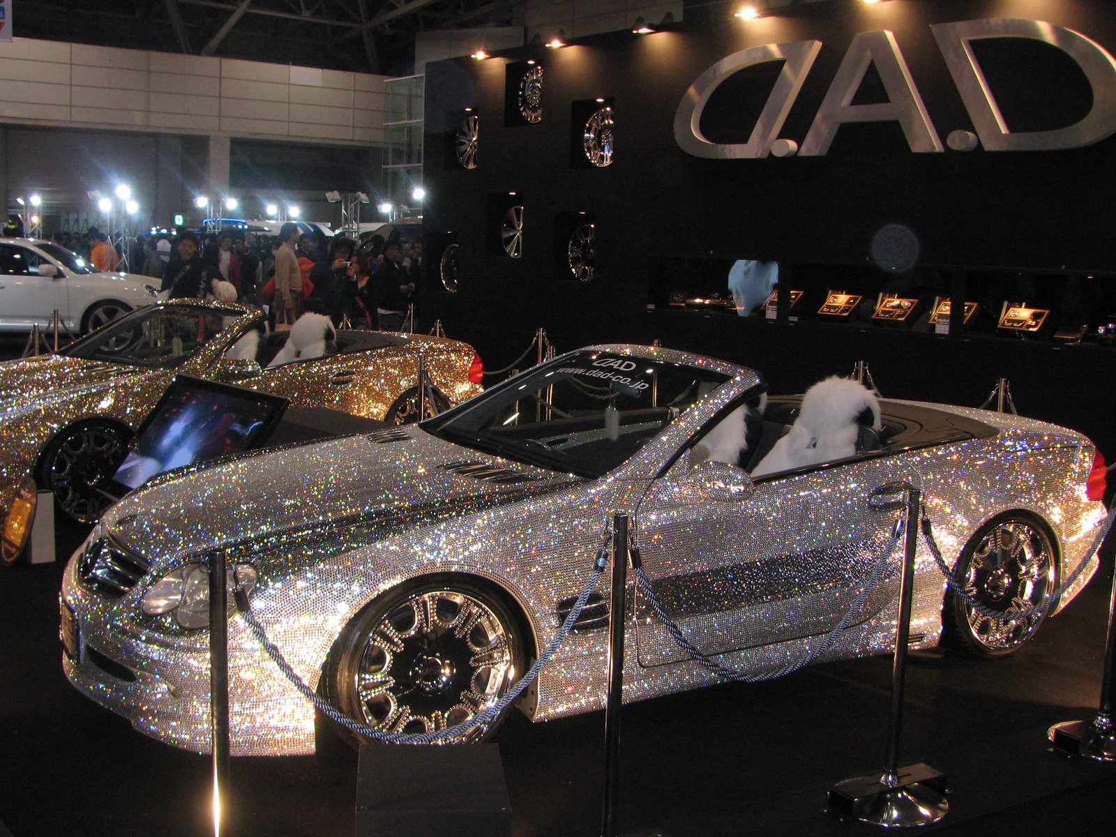 [car+mrc.jpg]