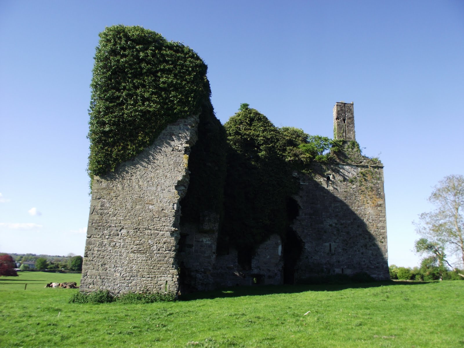 Hidden ruins of Ireland Lynches Castle Meath