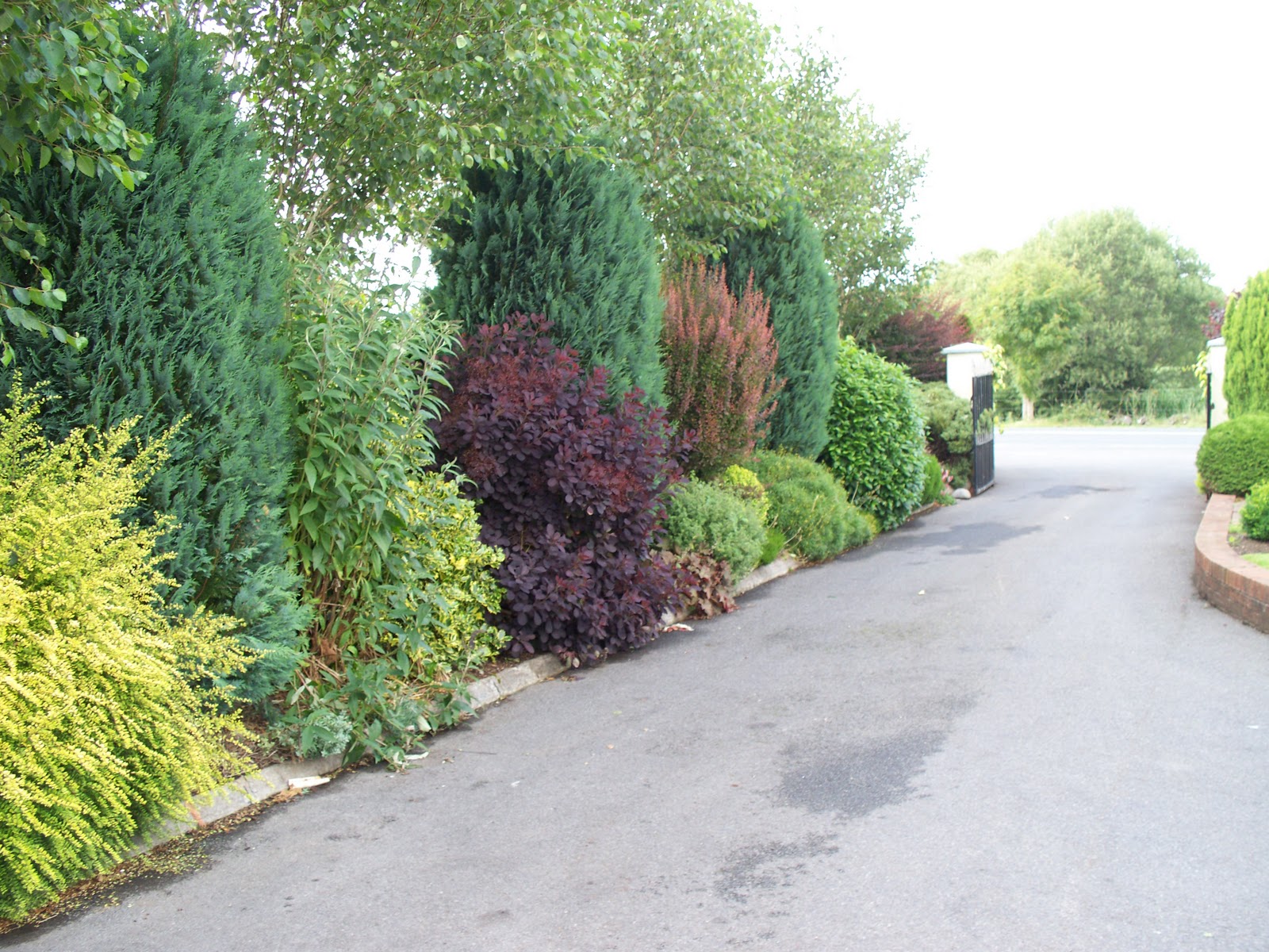 How Does Your Garden Grow? Taking Inspiration from an Irish Garden