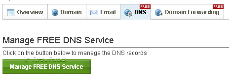 DNS Settings in Domain Control Panel