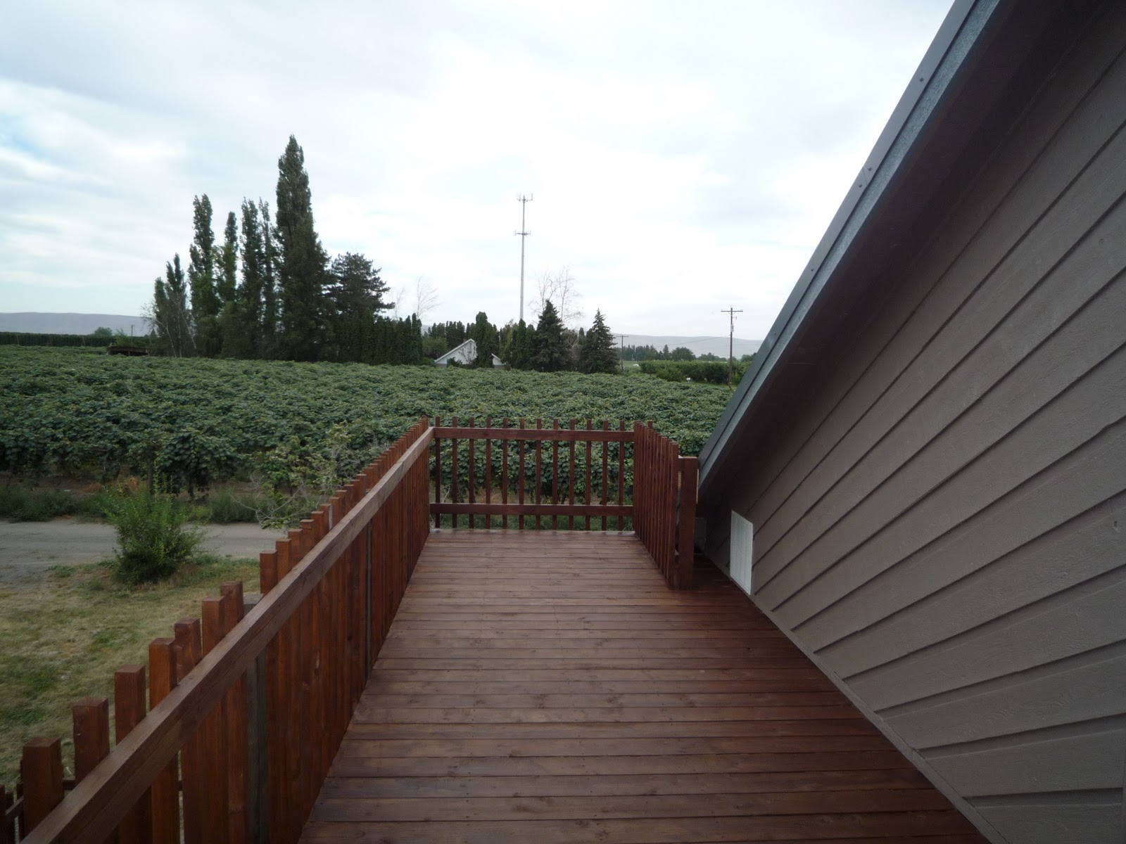 Grandview Washington by Holly Castle Holly Castle Grandview