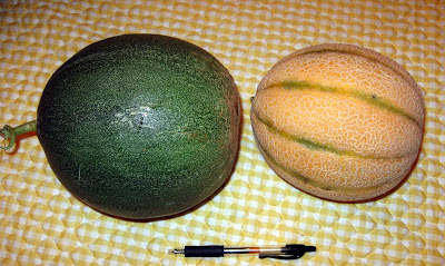 Annieinaustin, mystery melon with tuscan