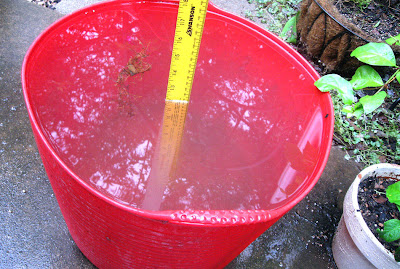 Annieinaustin,12 inches rain in tub