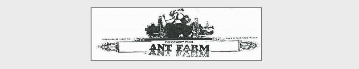 TheCowgirlFromAntFarm