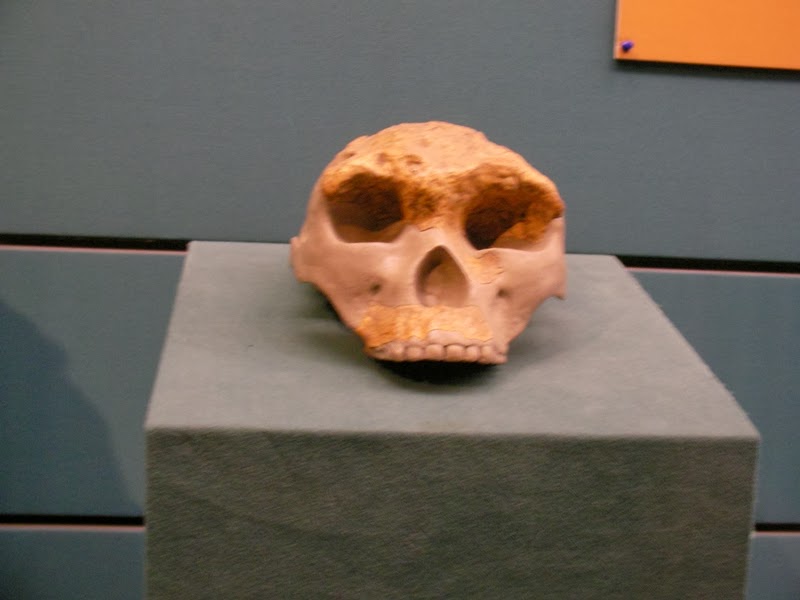 [SANY0285.JPG]