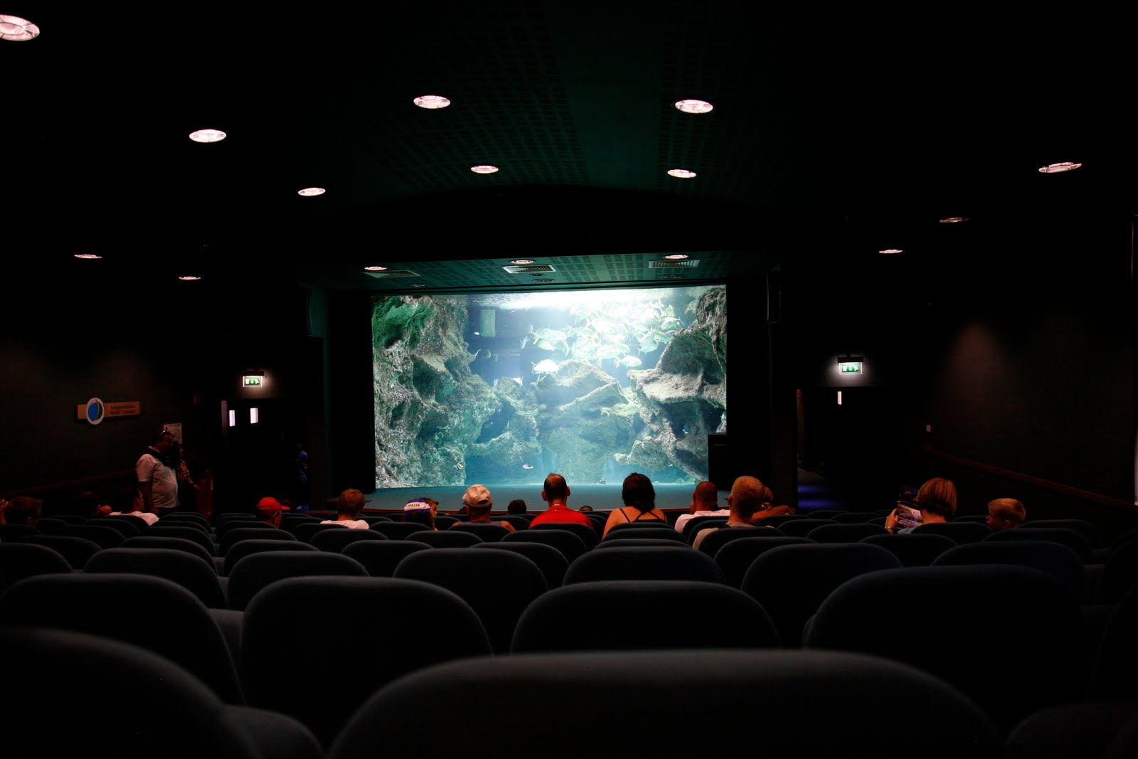 mattbrookestudio La Rochelle Aquarium
