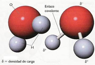 QUIMICA 1B2 LICEO 2 CARMELO: Estructura tridimensional de la molécula de  AGUA