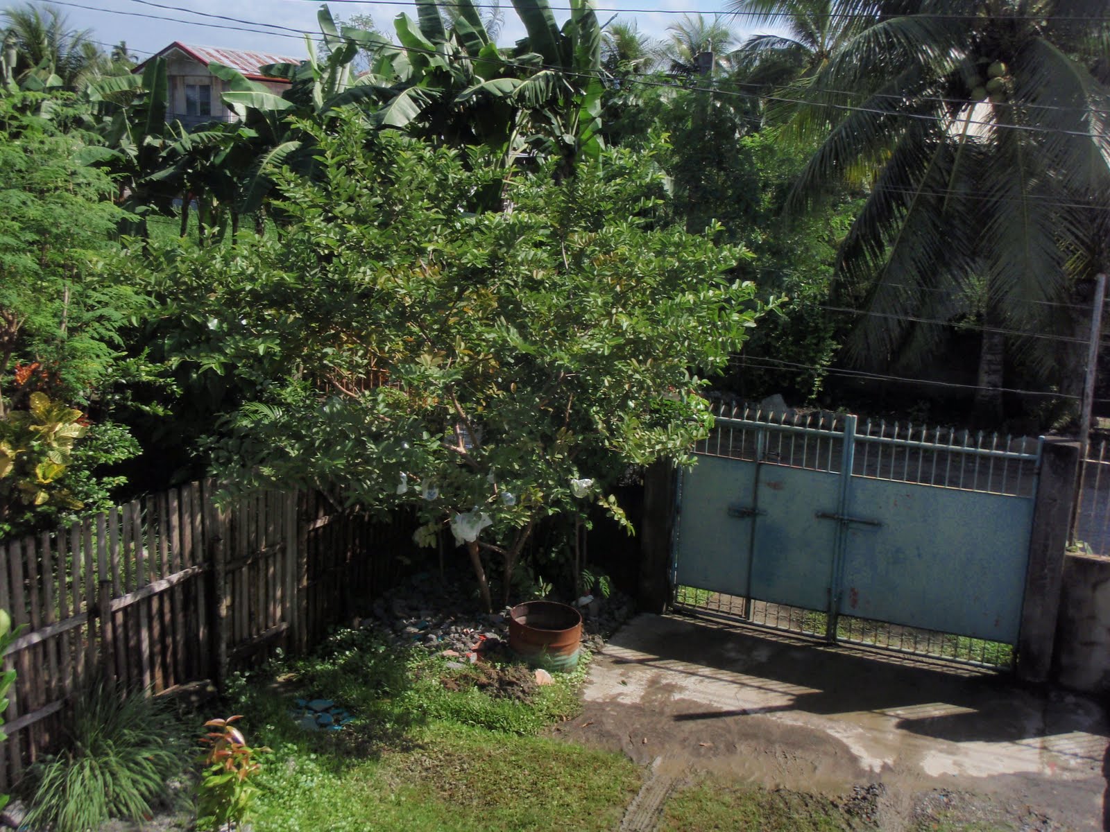 [P1180681.JPG]