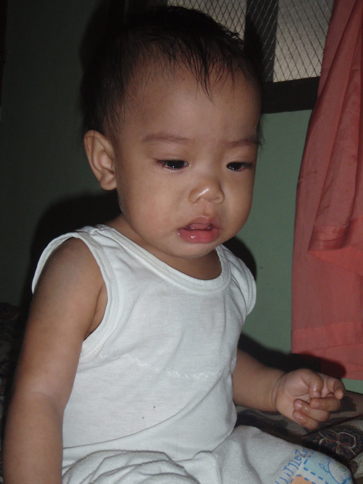 [P2040984.JPG]