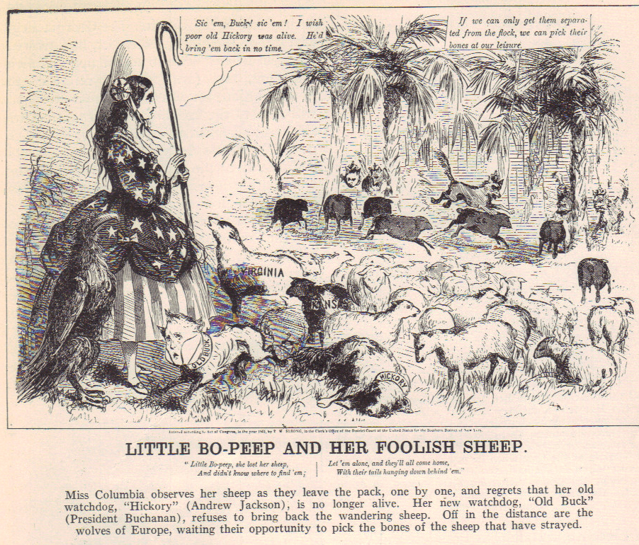 My Civil War Obsession Little BoPeep and Her Foolish Sheep an Anti
