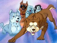 Silver fang