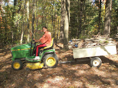 Gathering bonfire wood