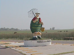 Pehuajo - La cuna de Manuelita