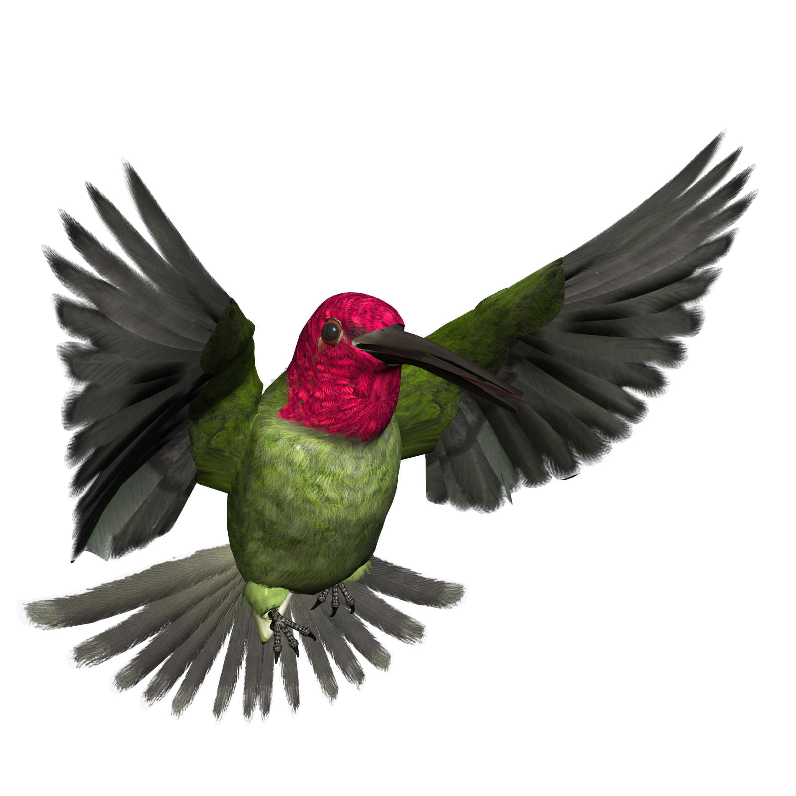 bird clip art png - photo #24