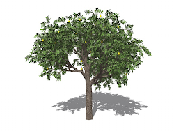 tree clip resolution trees labels