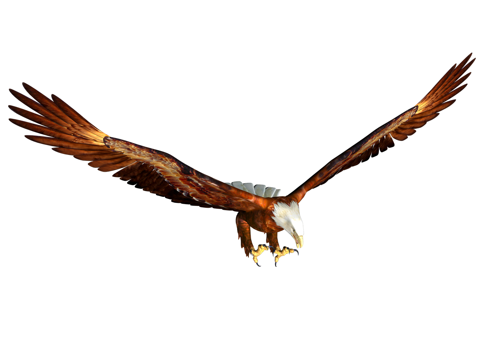 eagle clip art high resolution - photo #2