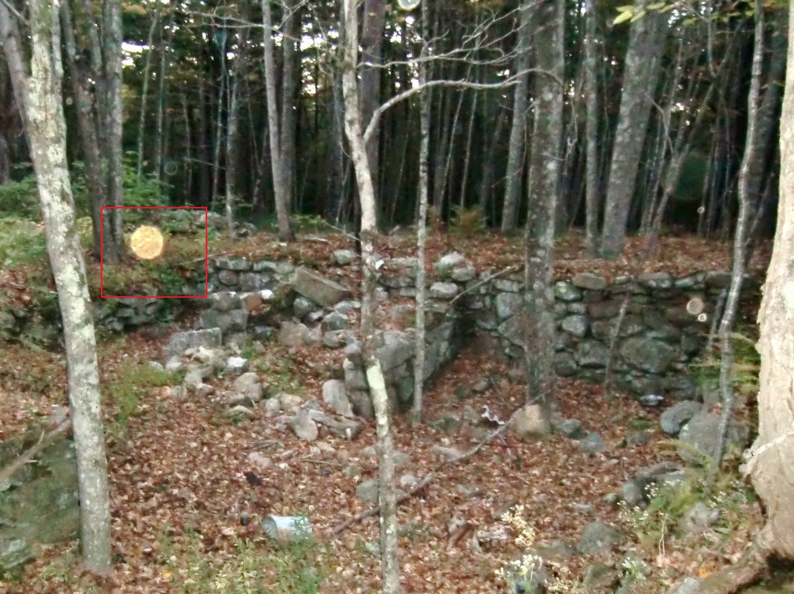 Southern Ct Paranormal Society Maude's grave, Voluntown CT 10/10/10