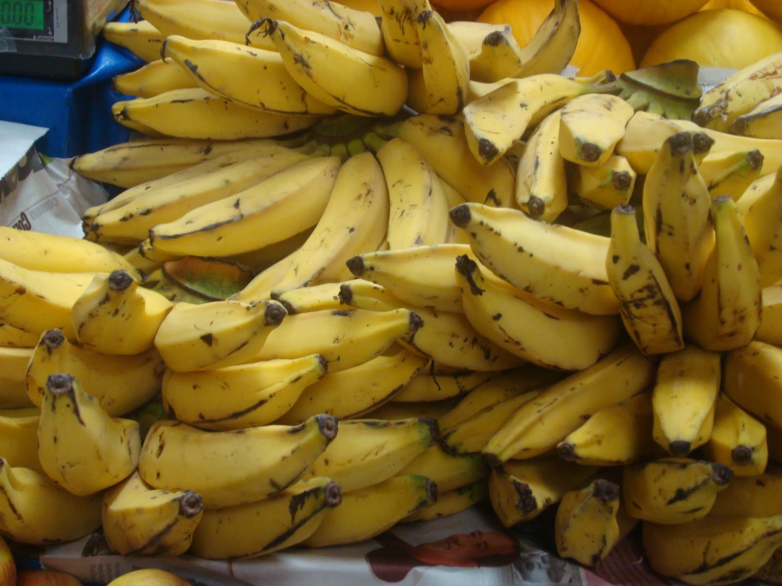 Frutas De Origem Indigena - ZULEDU