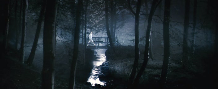 [Антихрист(Antichrist).2009.DVDRip[(041967)00-54-16].JPG]