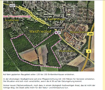 Https Www Ew Uni Hamburg De Studium Oe Files Oezeitung2017 Pdf