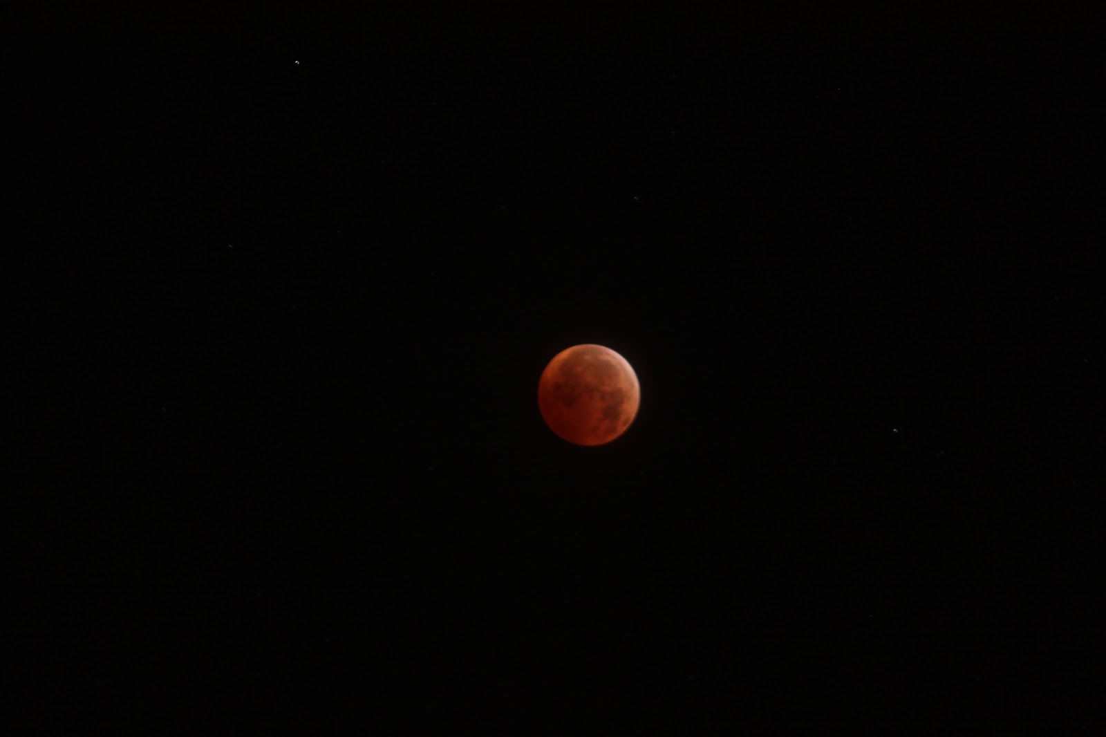 Cute E's Photography Our Winter Solstice Total Lunar Eclipse