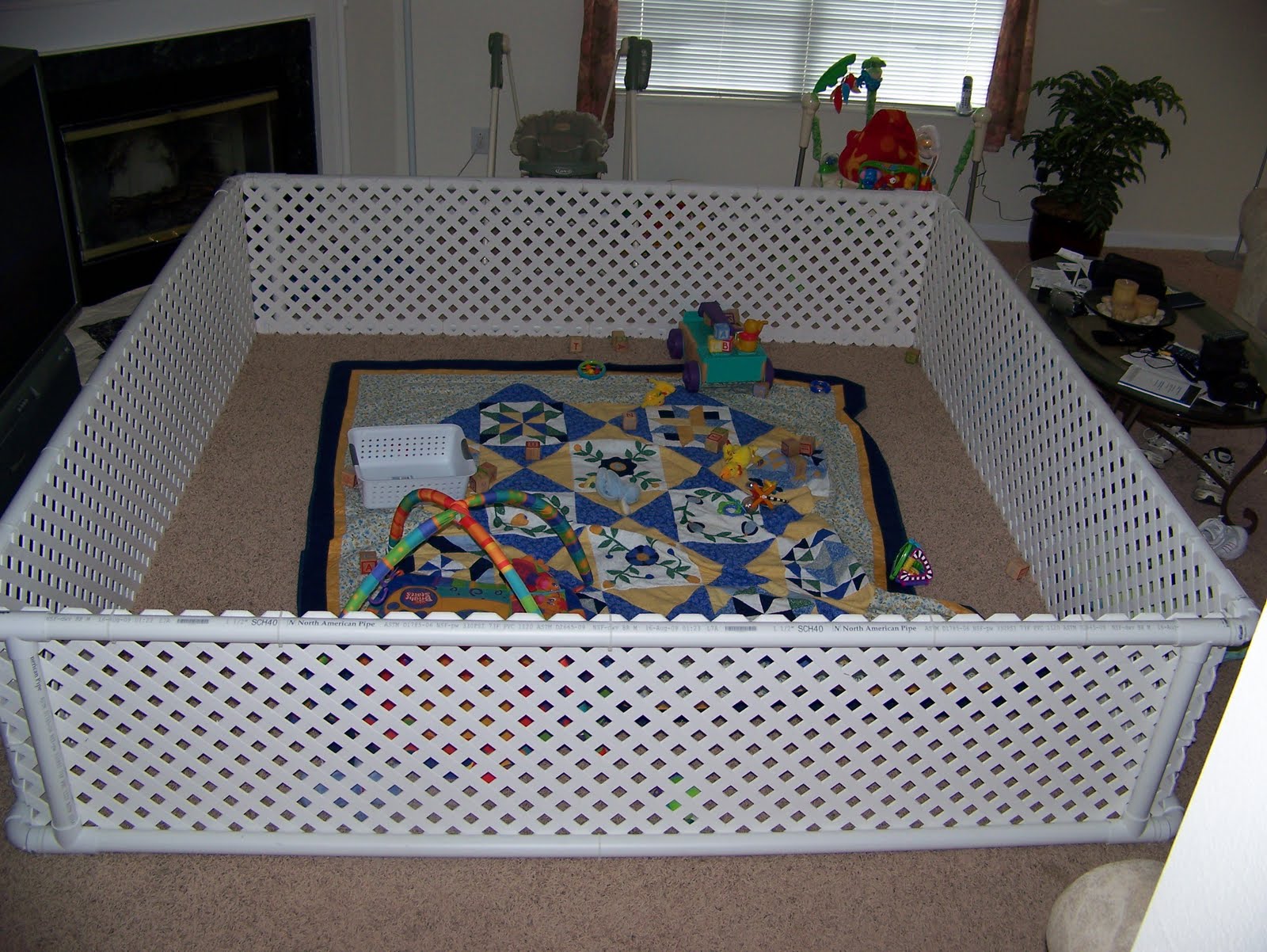 Right Family Photo Album World's Largest Baby Cage