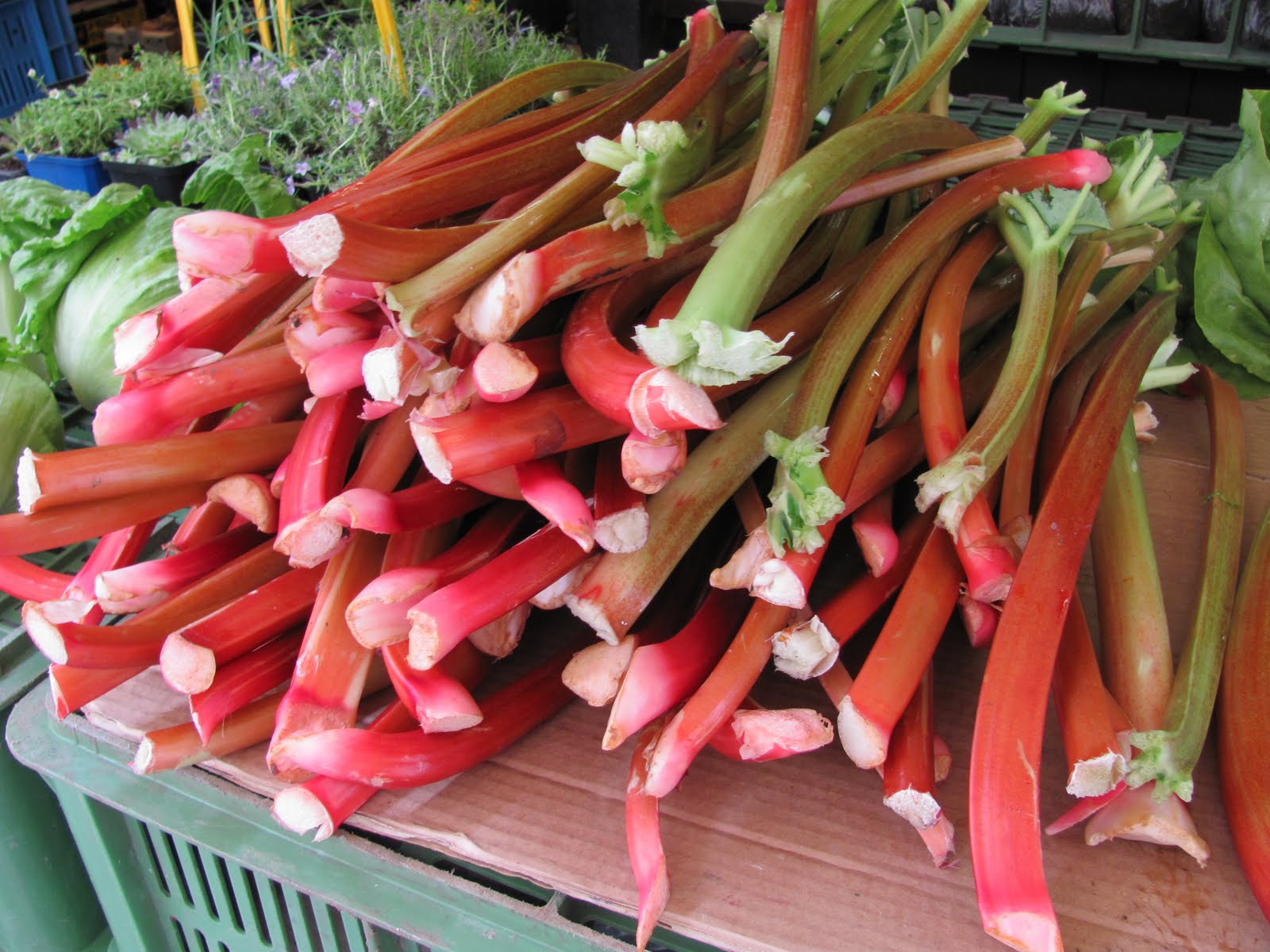 Abroad in the Czech Republic Fruits and Vegetables in a local market