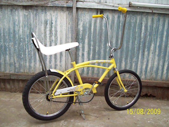 Bicicleta Estilo Vintage - Edicion Limitada DCC