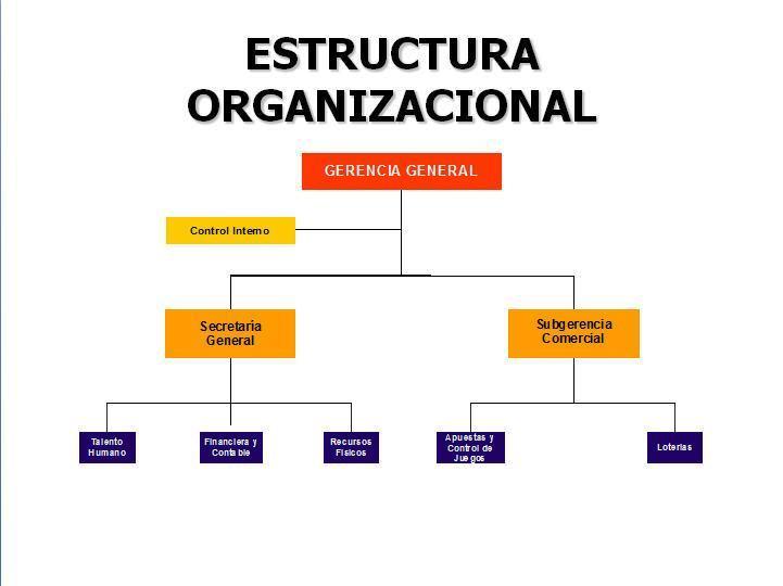 Mauricio Cabal Estructura Organizacional