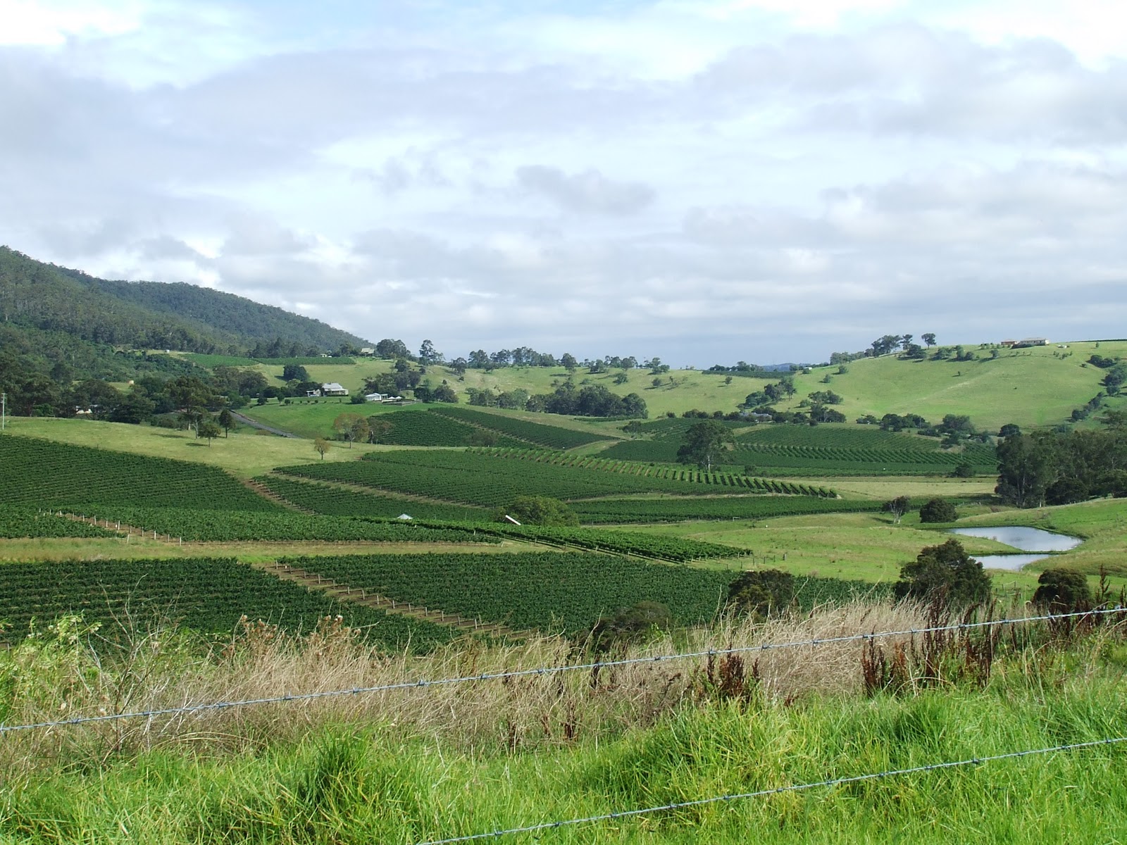 Newcastle Nsw Au Photos City Port Valley