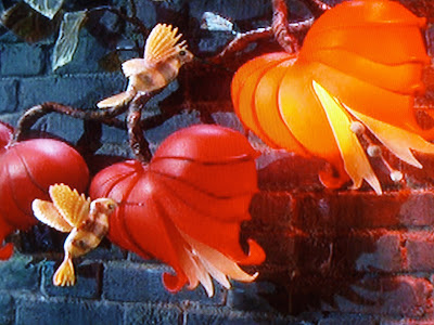 Coraline Garden Flower Scene Screengrab