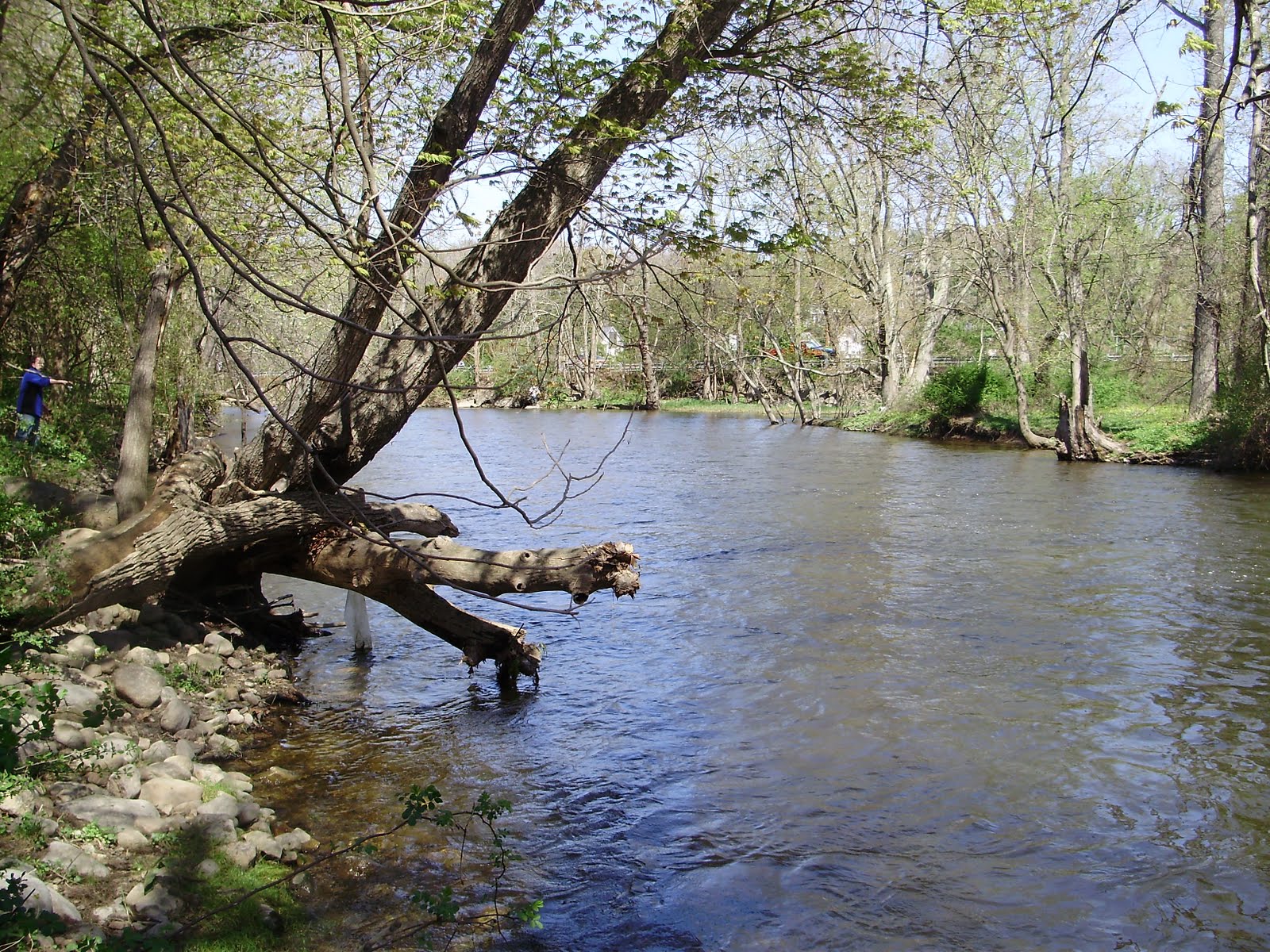 The Slippery Trout A Fly Fishing Blog Fishing for Trout on Opening