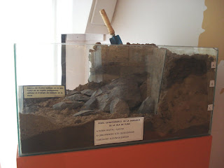 En el Museo Ignacio Balvidares se exhibe una estratigrafía de la isla
