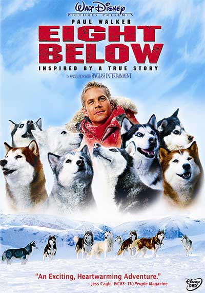 Geração Polar Portugal: Antarctida : Eight Below um filme a explorar