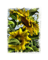 Inspirational Moments