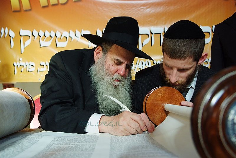 [nf_9686_138231.jpg]