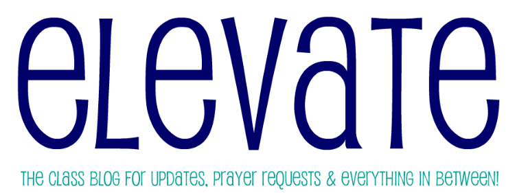 Elevate Class Blog