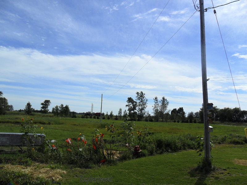 Exploriment Bruce Farm Visit