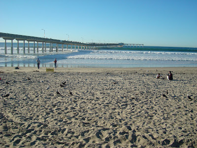 Beach and ocean view with pier