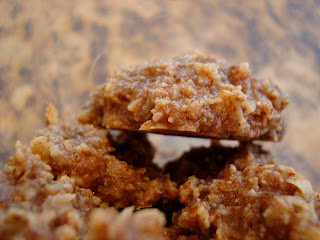 Close up of Vegan Coconut Banana Cookie Bites in container