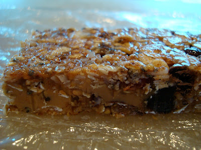 Close up of side of one No-Bake Vegan Peanut Butter Chocolate Chip Coconut Oil Protein Bar