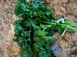 Bunch of kale on countertop - 11
