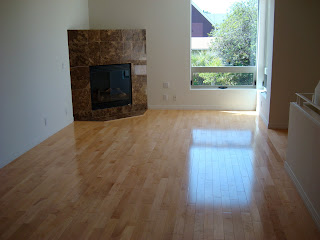 Living room with fireplace