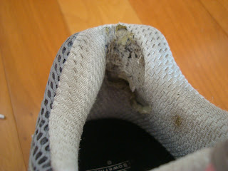 Back of inside sneaker showing holes from running
