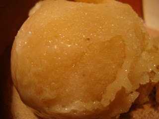 Scoop of vanilla coconut almond milk ice cream close up - 21