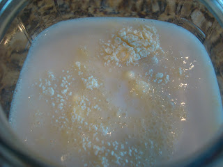 Coconut Milk, Water and Starter in glass jar